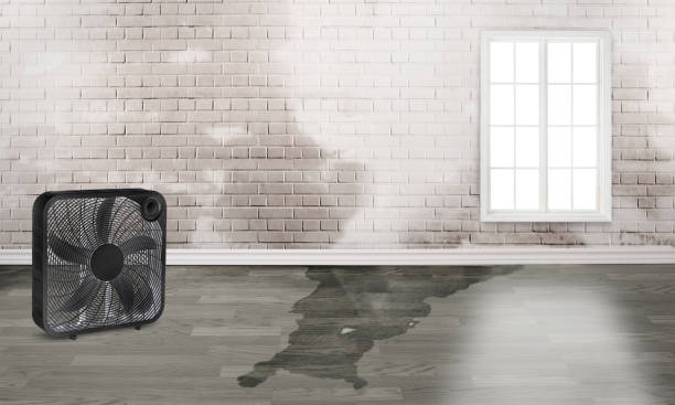 Best Residential Water Damage Restoration in Montezuma, IA