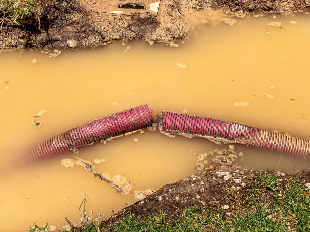 Best Water Damage Assessment and Inspection in Montezuma, IA